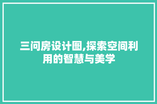 三问房设计图,探索空间利用的智慧与美学