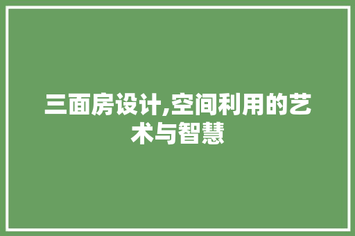 三面房设计,空间利用的艺术与智慧