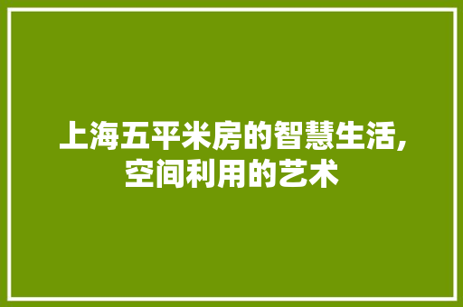 上海五平米房的智慧生活,空间利用的艺术