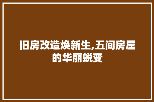 旧房改造焕新生,五间房屋的华丽蜕变