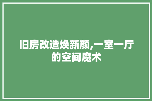 旧房改造焕新颜,一室一厅的空间魔术