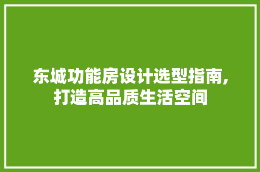 东城功能房设计选型指南,打造高品质生活空间