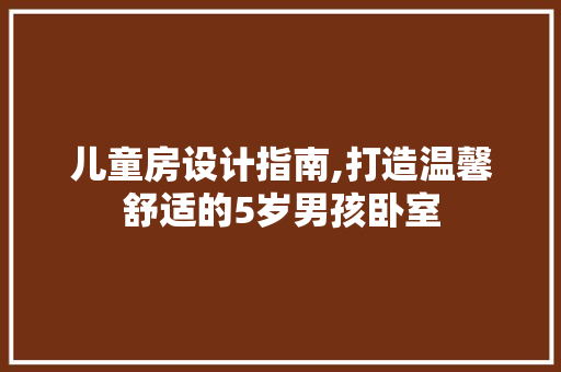 儿童房设计指南,打造温馨舒适的5岁男孩卧室