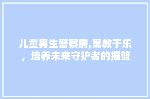 儿童男生警察房,寓教于乐，培养未来守护者的摇篮