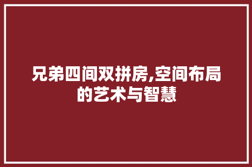 兄弟四间双拼房,空间布局的艺术与智慧