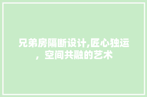 兄弟房隔断设计,匠心独运，空间共融的艺术