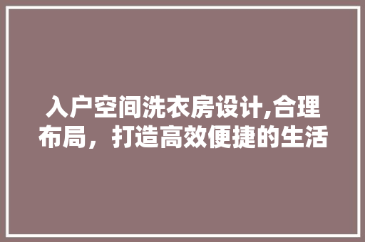 入户空间洗衣房设计,合理布局，打造高效便捷的生活空间
