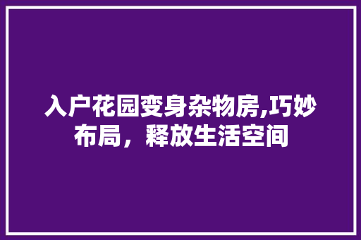 入户花园变身杂物房,巧妙布局，释放生活空间