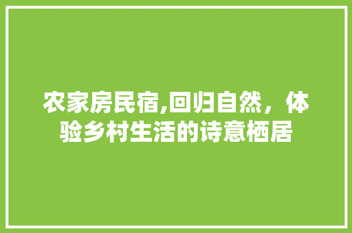 农家房民宿,回归自然，体验乡村生活的诗意栖居