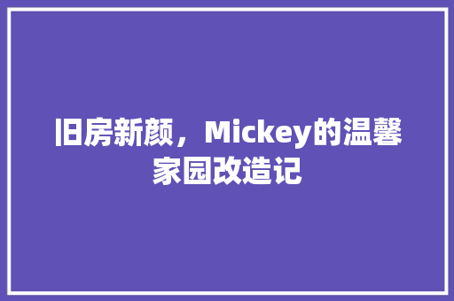旧房新颜，Mickey的温馨家园改造记