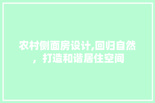 农村侧面房设计,回归自然，打造和谐居住空间