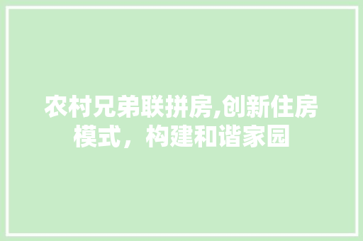 农村兄弟联拼房,创新住房模式，构建和谐家园