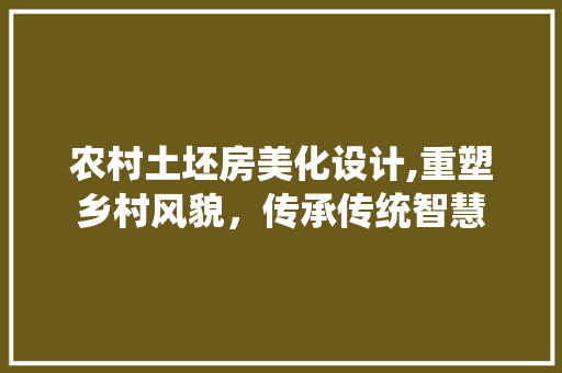 农村土坯房美化设计,重塑乡村风貌，传承传统智慧