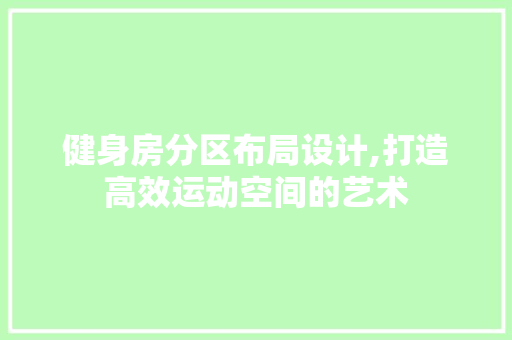 健身房分区布局设计,打造高效运动空间的艺术