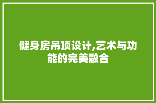 健身房吊顶设计,艺术与功能的完美融合