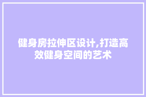 健身房拉伸区设计,打造高效健身空间的艺术