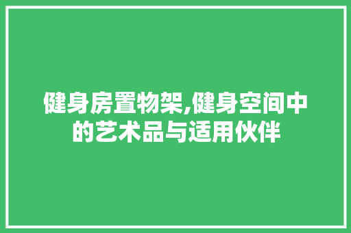 健身房置物架,健身空间中的艺术品与适用伙伴