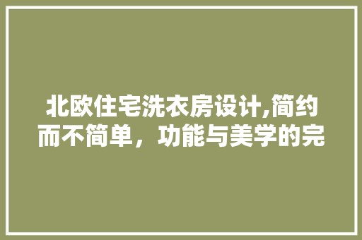 北欧住宅洗衣房设计,简约而不简单，功能与美学的完美融合