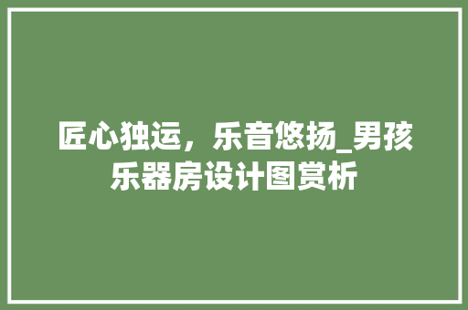 匠心独运，乐音悠扬_男孩乐器房设计图赏析