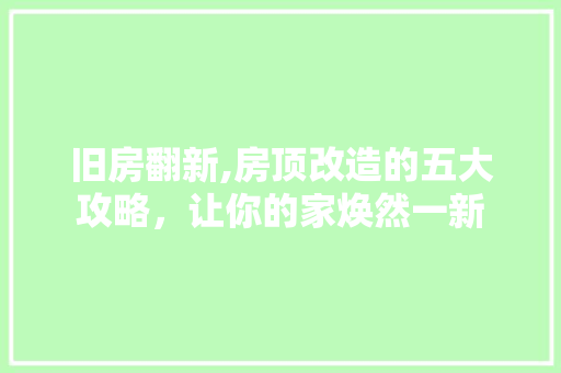 旧房翻新,房顶改造的五大攻略，让你的家焕然一新