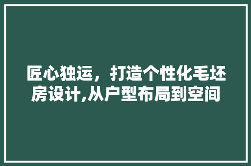 匠心独运，打造个性化毛坯房设计,从户型布局到空间美学