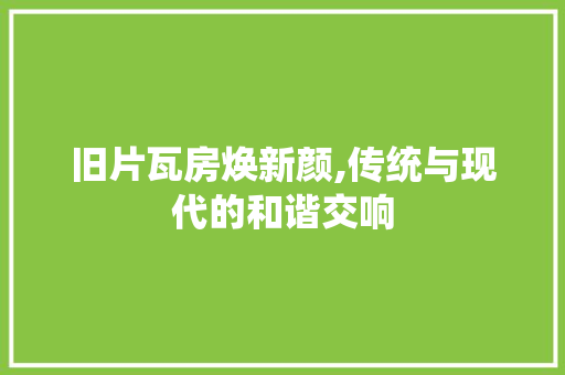 旧片瓦房焕新颜,传统与现代的和谐交响
