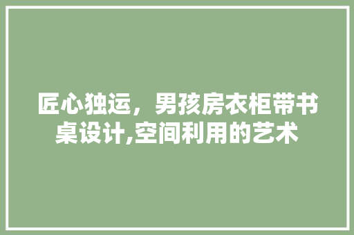 匠心独运，男孩房衣柜带书桌设计,空间利用的艺术