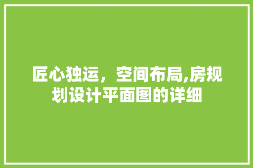 匠心独运，空间布局,房规划设计平面图的详细