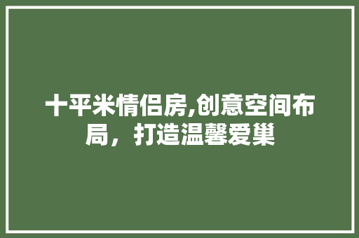 十平米情侣房,创意空间布局，打造温馨爱巢