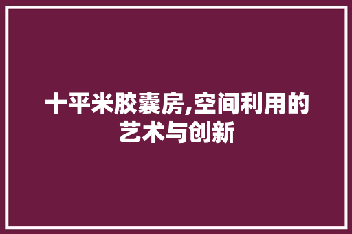 十平米胶囊房,空间利用的艺术与创新