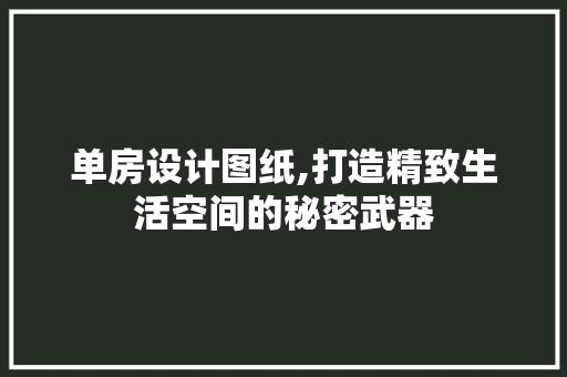 单房设计图纸,打造精致生活空间的秘密武器