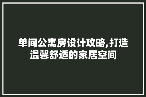 单间公寓房设计攻略,打造温馨舒适的家居空间