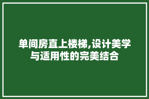 单间房直上楼梯,设计美学与适用性的完美结合