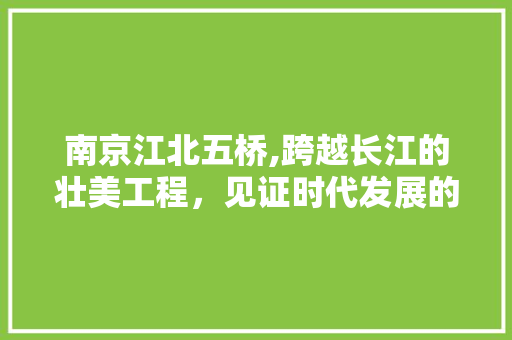 南京江北五桥,跨越长江的壮美工程，见证时代发展的辉煌篇章