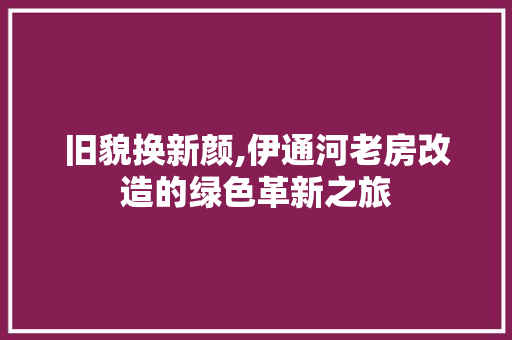 旧貌换新颜,伊通河老房改造的绿色革新之旅