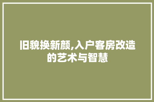 旧貌换新颜,入户客房改造的艺术与智慧