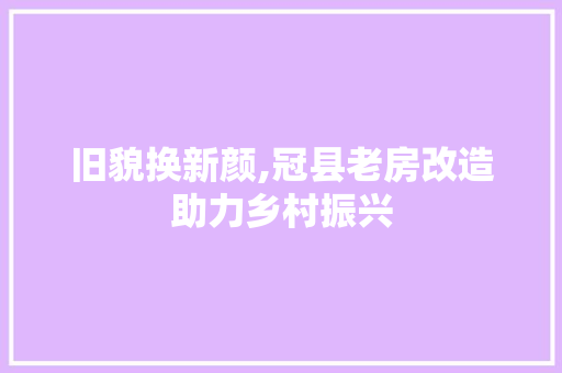 旧貌换新颜,冠县老房改造助力乡村振兴