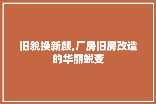 旧貌换新颜,厂房旧房改造的华丽蜕变