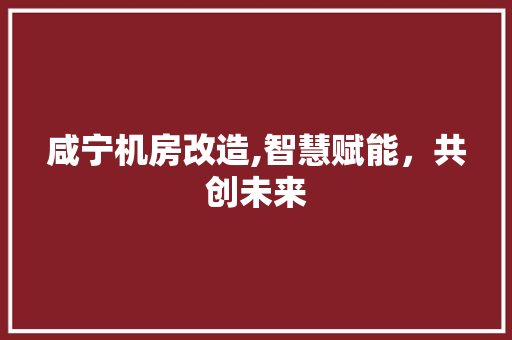 咸宁机房改造,智慧赋能，共创未来