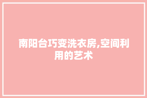 南阳台巧变洗衣房,空间利用的艺术