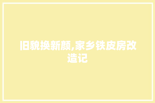 旧貌换新颜,家乡铁皮房改造记
