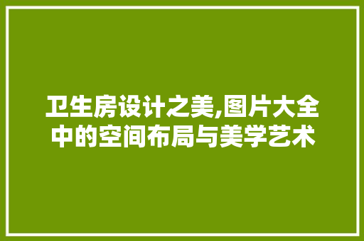 卫生房设计之美,图片大全中的空间布局与美学艺术