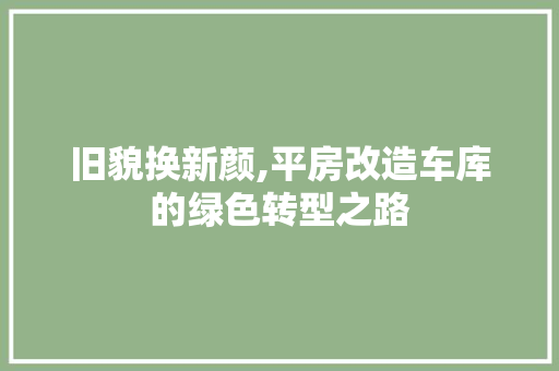 旧貌换新颜,平房改造车库的绿色转型之路