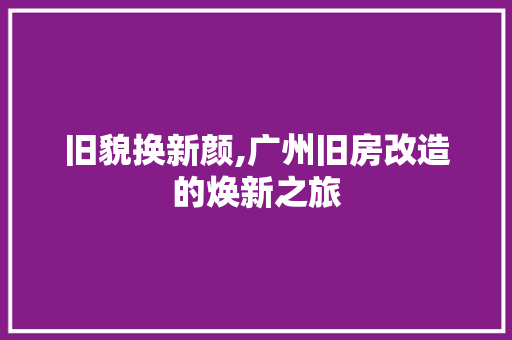 旧貌换新颜,广州旧房改造的焕新之旅