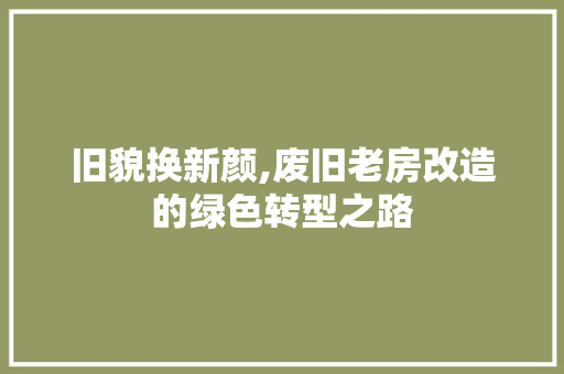 旧貌换新颜,废旧老房改造的绿色转型之路