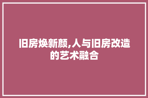 旧房焕新颜,人与旧房改造的艺术融合