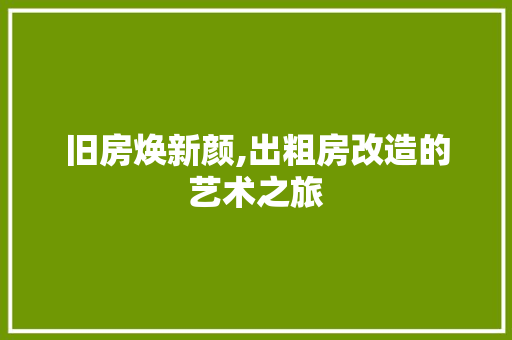 旧房焕新颜,出粗房改造的艺术之旅