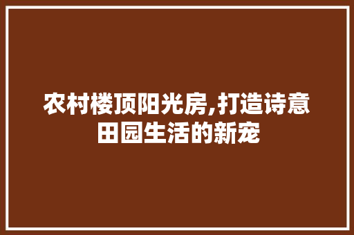 农村楼顶阳光房,打造诗意田园生活的新宠