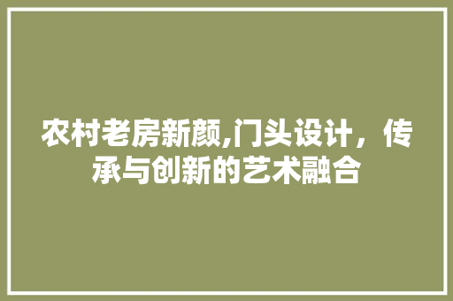 农村老房新颜,门头设计，传承与创新的艺术融合