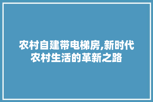 农村自建带电梯房,新时代农村生活的革新之路